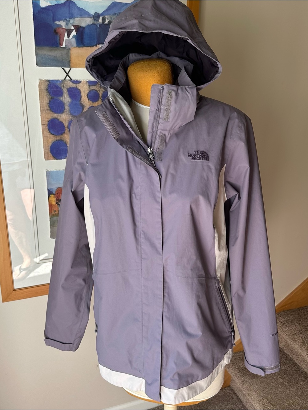 The North Face Women's DryVent Hooded Jacket